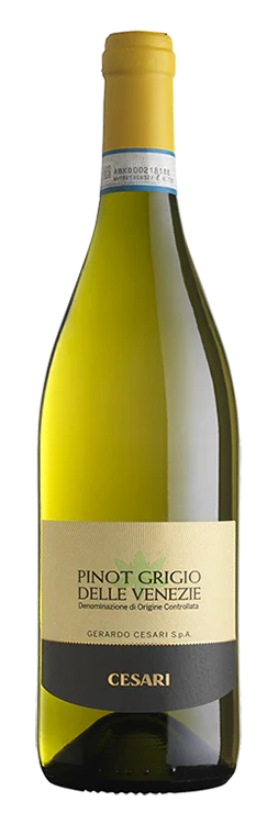 Pinot Grigio Delle Venezie