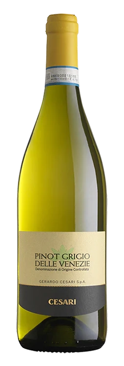 Pinot Grigio Delle Venezie